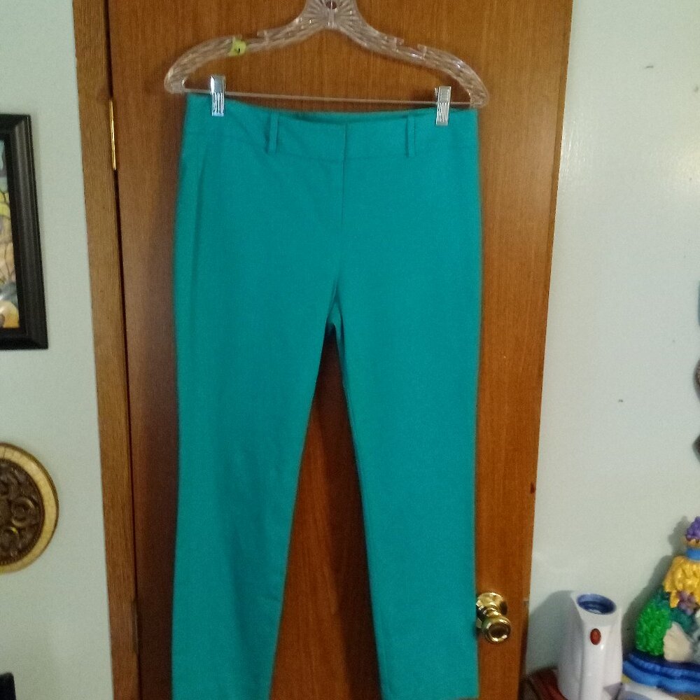 Ann Taylor Signature Womens Pants